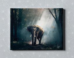Картина на холсте в подарок - "Слон в лесу", размер 40х50см