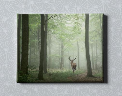 Картина на холсте в подарок - "Олень в лесу", размер 40х50см
